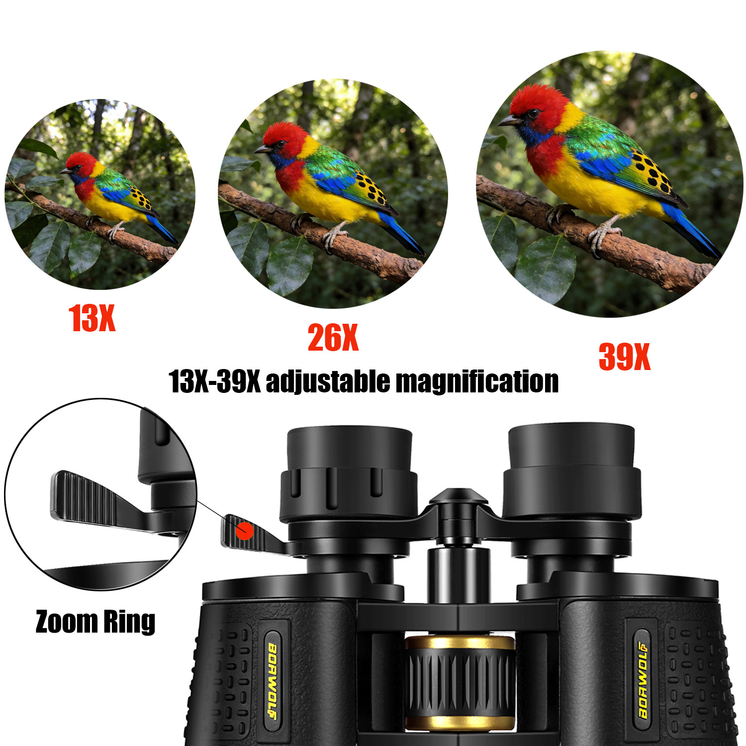 BORWOLF 13-39X70 ED High Magni - National Geographic Telescope 70Mm 评论和价格