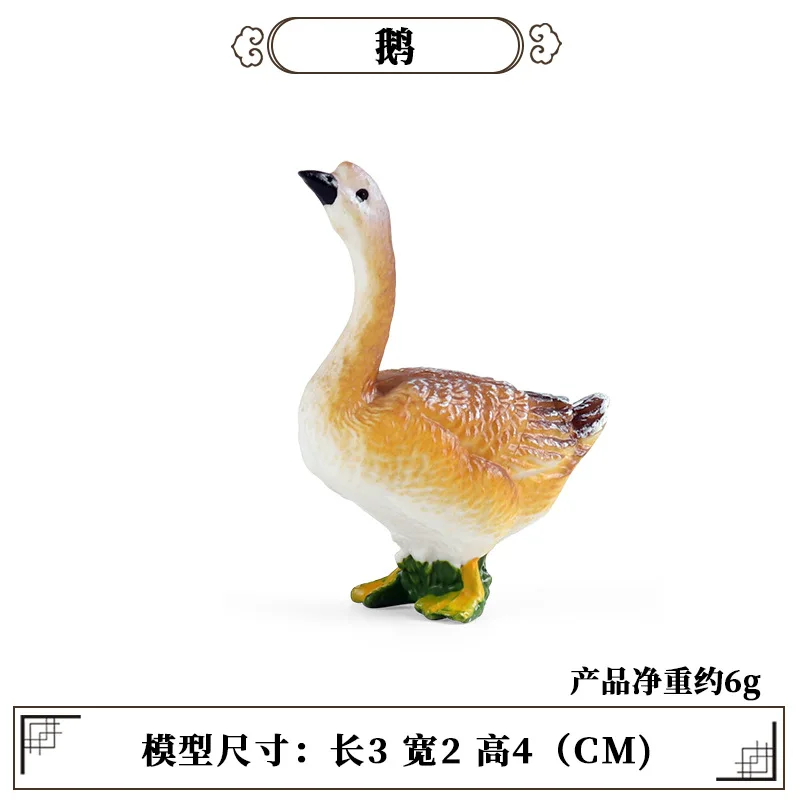 Education Teaching Tool Poultr - Science Toys 评论和价格